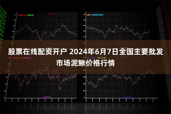股票在线配资开户 2024年6月7日全国主要批发市场泥鳅价格行情