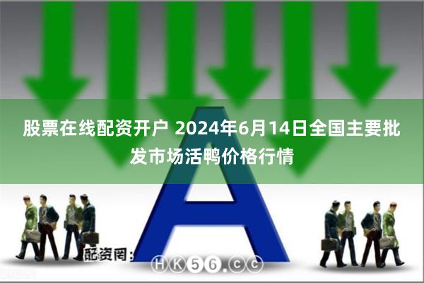 股票在线配资开户 2024年6月14日全国主要批发市场活鸭价格行情