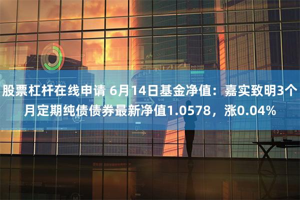 股票杠杆在线申请 6月14日基金净值：嘉实致明3个月定期纯债债券最新净值1.0578，涨0.04%