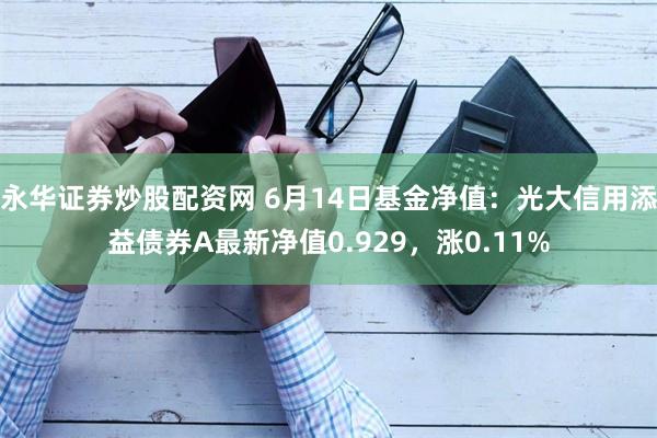 永华证券炒股配资网 6月14日基金净值：光大信用添益债券A最新净值0.929，涨0.11%
