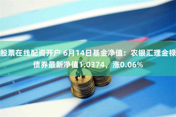 股票在线配资开户 6月14日基金净值：农银汇理金禄债券最新净值1.0374，涨0.06%