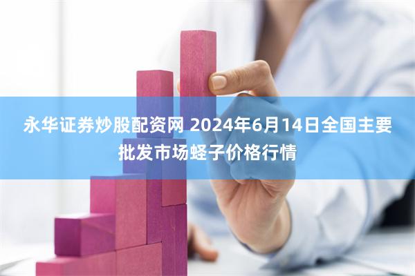 永华证券炒股配资网 2024年6月14日全国主要批发市场蛏子价格行情
