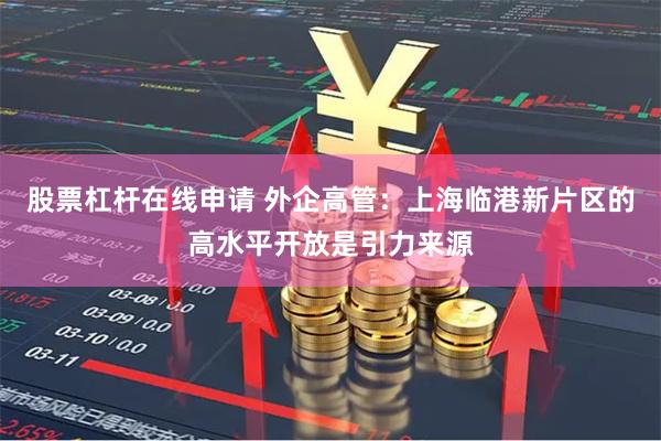 股票杠杆在线申请 外企高管：上海临港新片区的高水平开放是引力来源