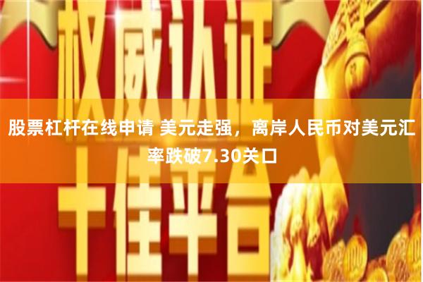 股票杠杆在线申请 美元走强，离岸人民币对美元汇率跌破7.30关口