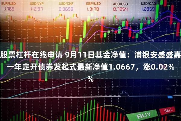 股票杠杆在线申请 9月11日基金净值：浦银安盛盛嘉一年定开债券发起式最新净值1.0667，涨0.02%