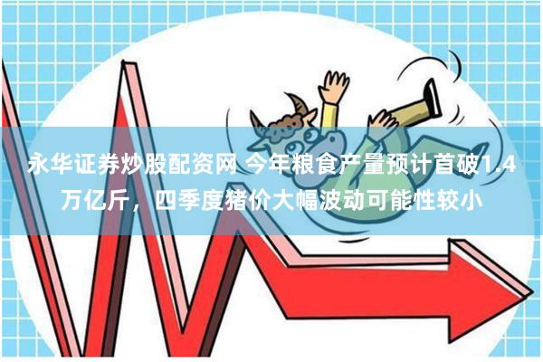 永华证券炒股配资网 今年粮食产量预计首破1.4万亿斤，四季度猪价大幅波动可能性较小