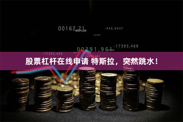 股票杠杆在线申请 特斯拉，突然跳水！